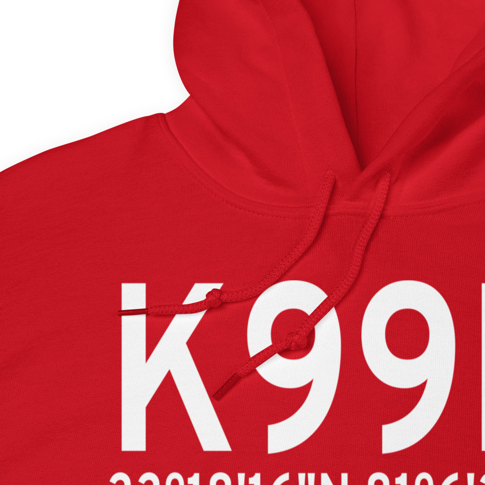 Bamberg County Airport (K99N) ICAO Hoodie Sweatshirt 