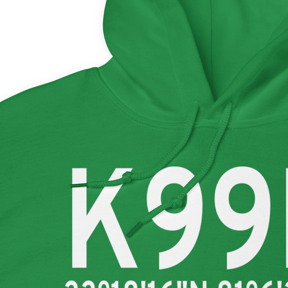 Bamberg County Airport (K99N) ICAO Hoodie Sweatshirt 