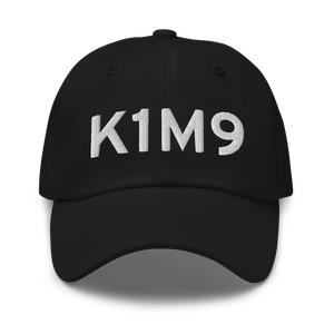 Lake Barkley State Park Airport (K1M9) ICAO Hat