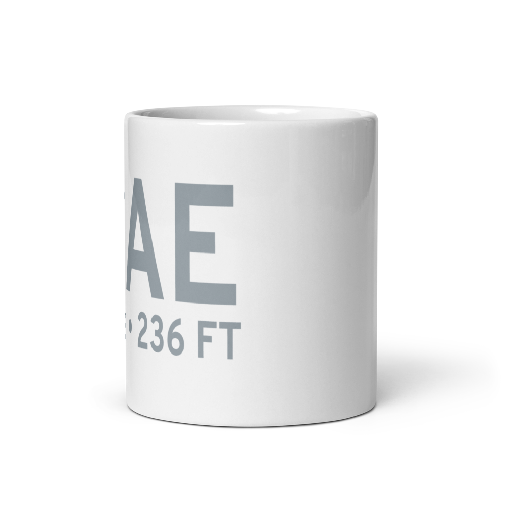 Columbia Metropolitan Airport (KCAE) ICAO Mug 