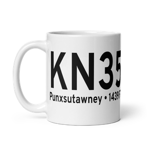 Punxsutawney Municipal Airport (KN35) ICAO Mug