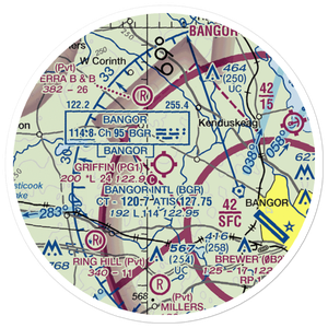 Griffin Field (PG1) VFR Sectional Sticker (20 mile)