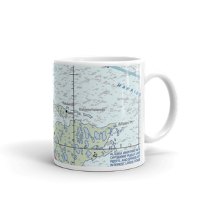 Kogru River (A41) VFR Sectional  Mug