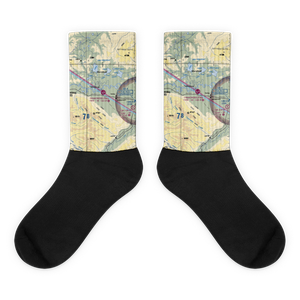 Tanacross Airport (TSG) VFR Sectional Socks