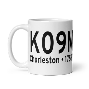 Charleston Municipal Airport (K09M) ICAO Mug