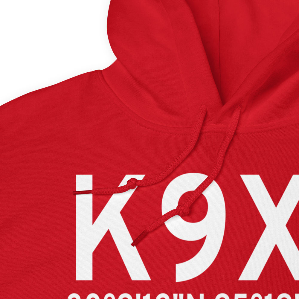 Williams Airport (K9X1) ICAO Hoodie Sweatshirt 