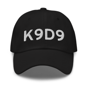 Hastings Airport (K9D9) ICAO Hat