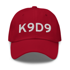 Hastings Airport (K9D9) ICAO Hat