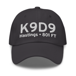 Hastings Airport (K9D9) ICAO Hat