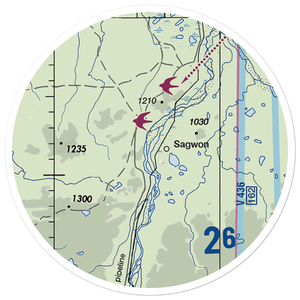 Sagwon Airport (SAG) VFR Sectional Sticker (20 mile)