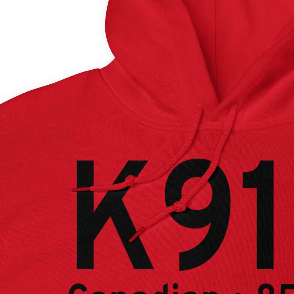 Arrowhead Airport (K91F) ICAO Hoodie Sweatshirt 