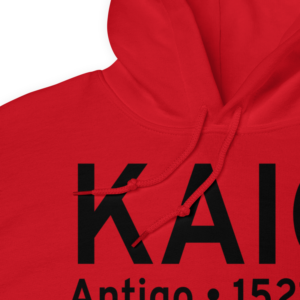 Langlade County Airport (KAIG) ICAO Hoodie Sweatshirt 