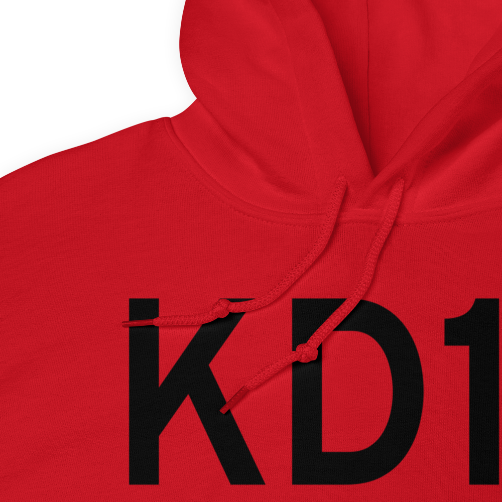 Ojibwa Airpark (KD11) ICAO Hoodie Sweatshirt 