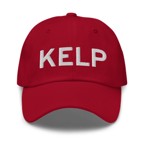 El Paso International Airport (KELP) ICAO Hat