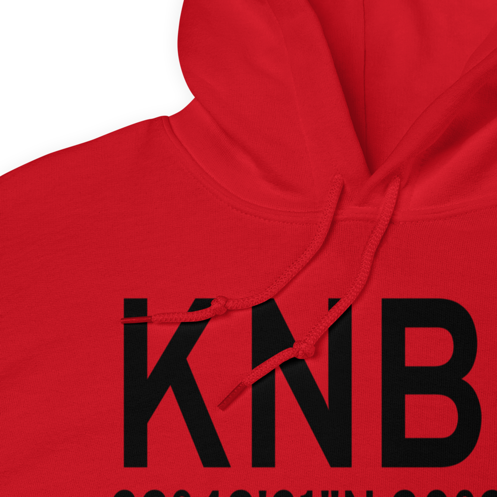 New Orleans NAS JRB/Alvin Callender Field (KNBG) ICAO Hoodie Sweatshirt 
