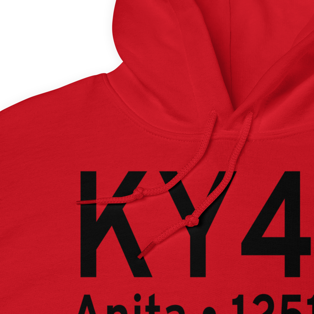 Anita Municipal Kevin Burke Memorial Field (KY43) ICAO Hoodie Sweatshirt 