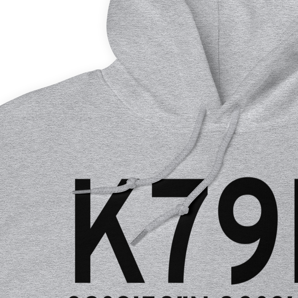 Philippi Barbour County Regional Airport (K79D) ICAO Hoodie Sweatshirt 