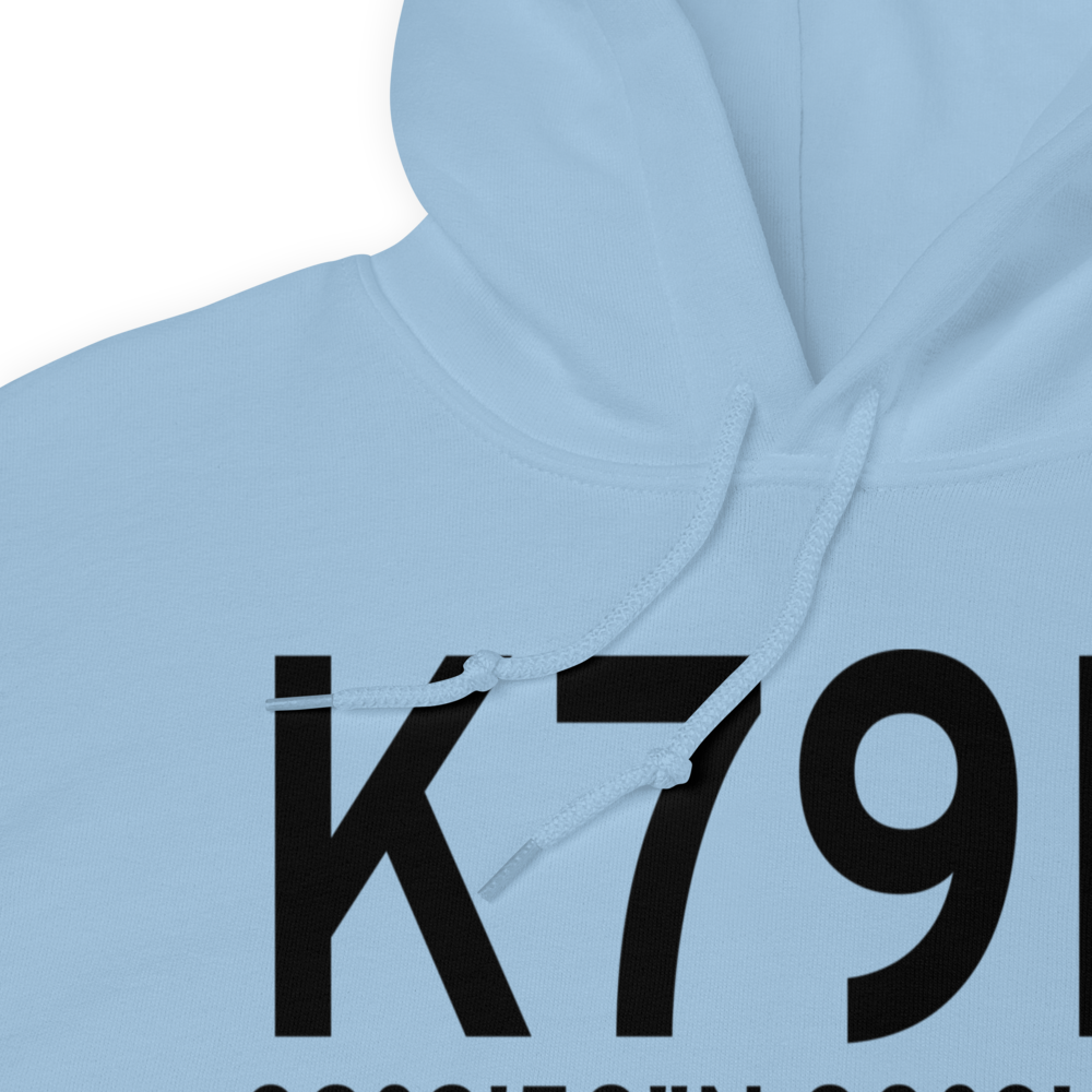 Philippi Barbour County Regional Airport (K79D) ICAO Hoodie Sweatshirt 