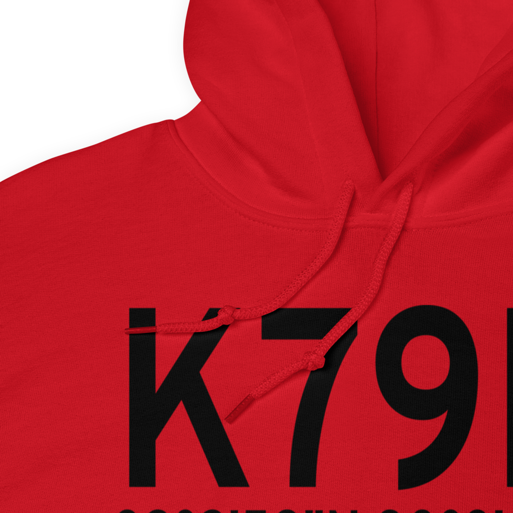 Philippi Barbour County Regional Airport (K79D) ICAO Hoodie Sweatshirt 