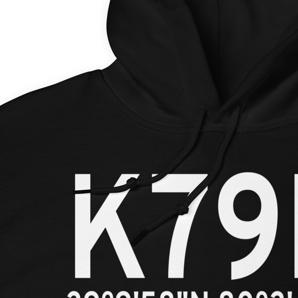 Philippi Barbour County Regional Airport (K79D) ICAO Hoodie Sweatshirt 