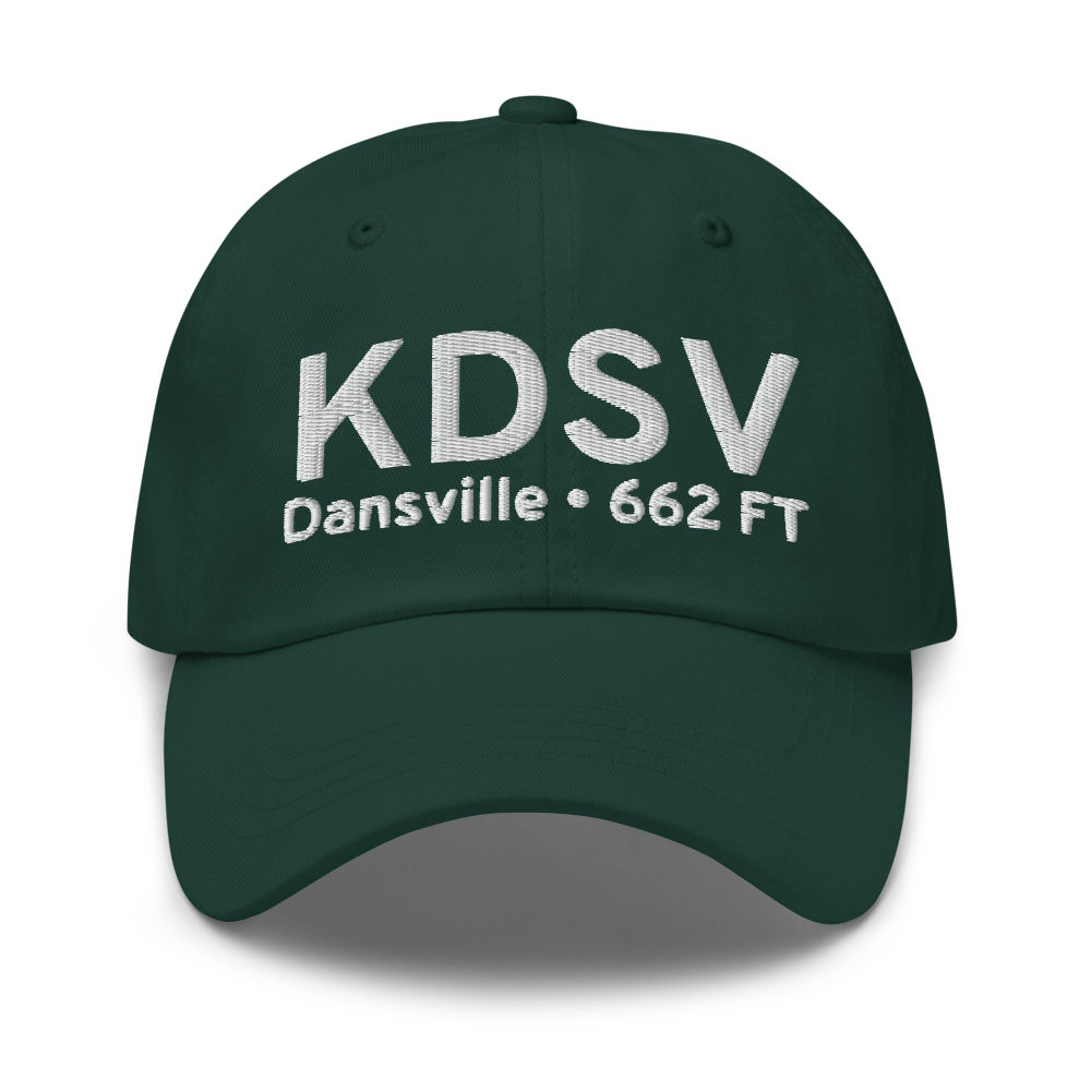 Dansville Municipal Airport (KDSV) ICAO Hat 