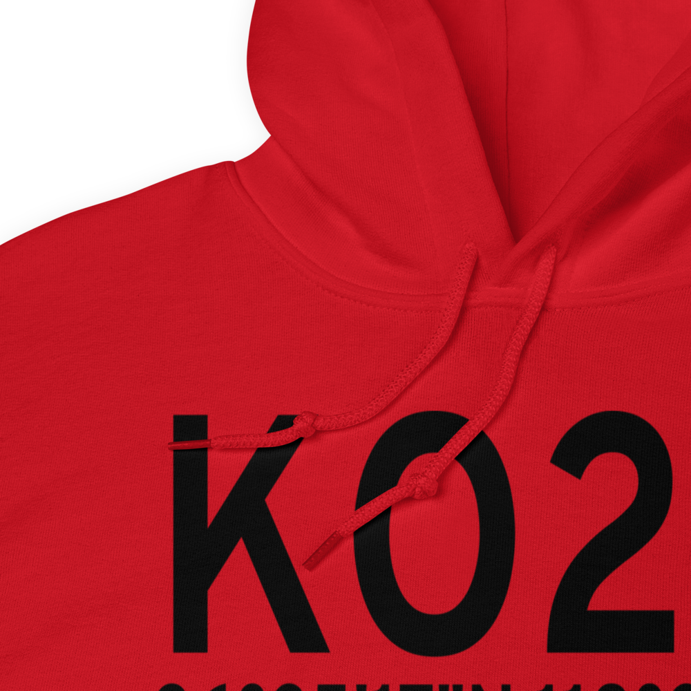 Lone Pine\Death Valley Airport (KO26) ICAO Hoodie Sweatshirt 