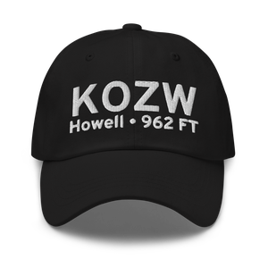 Livingston County Spencer J. Hardy Airport (KOZW) ICAO Hat