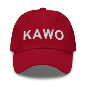 Arlington Municipal Airport (KAWO) ICAO Hat