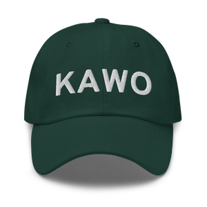 Arlington Municipal Airport (KAWO) ICAO Hat