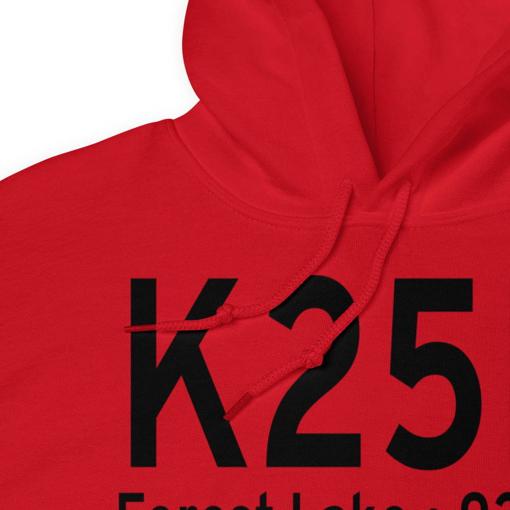 Forest Lake Airport (K25D) ICAO Hoodie Sweatshirt 