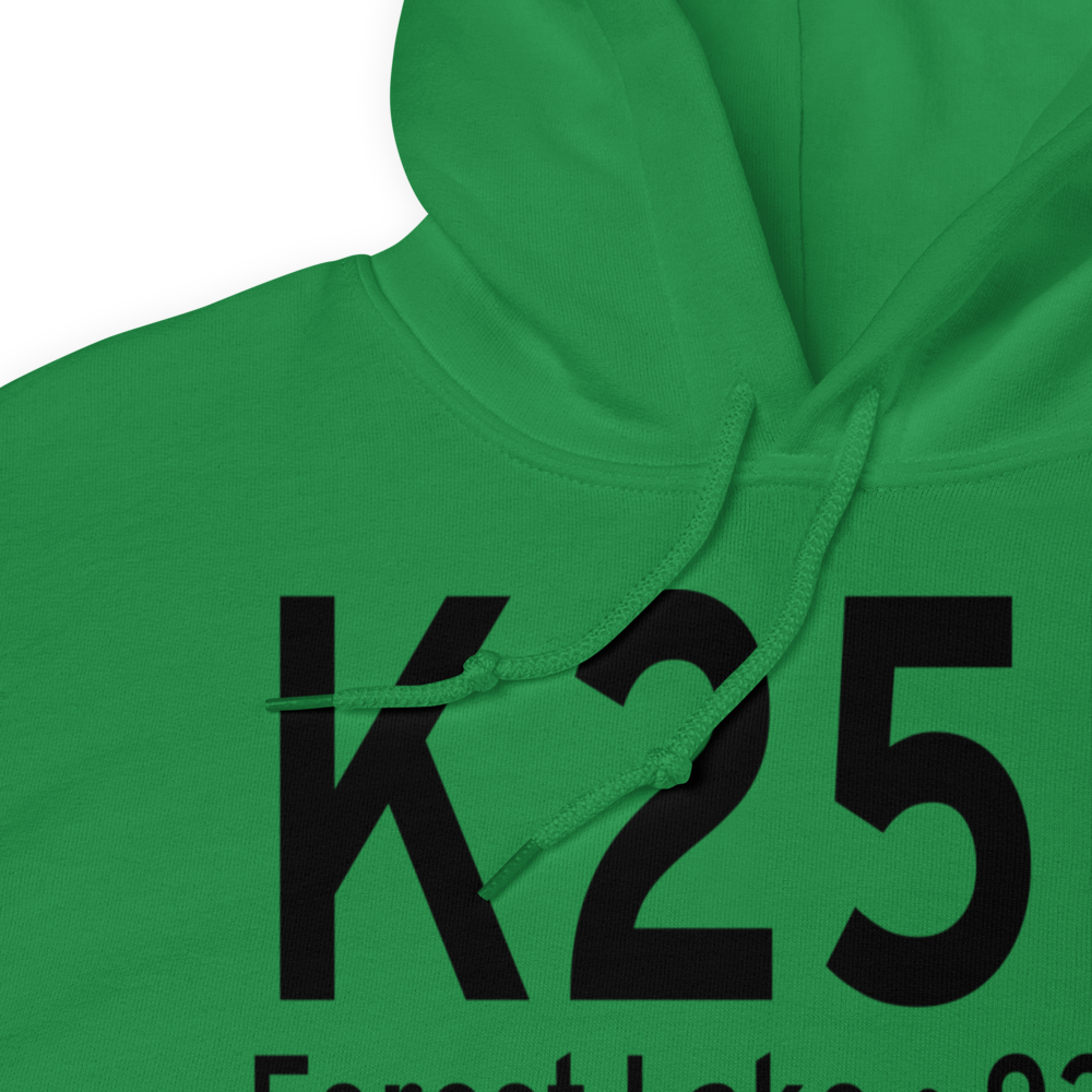 Forest Lake Airport (K25D) ICAO Hoodie Sweatshirt 