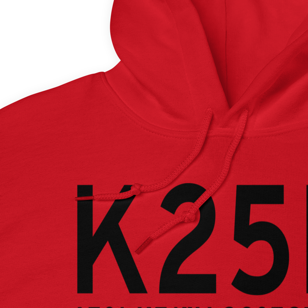 Forest Lake Airport (K25D) ICAO Hoodie Sweatshirt 