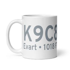 Evart Municipal Airport (K9C8) ICAO Mug