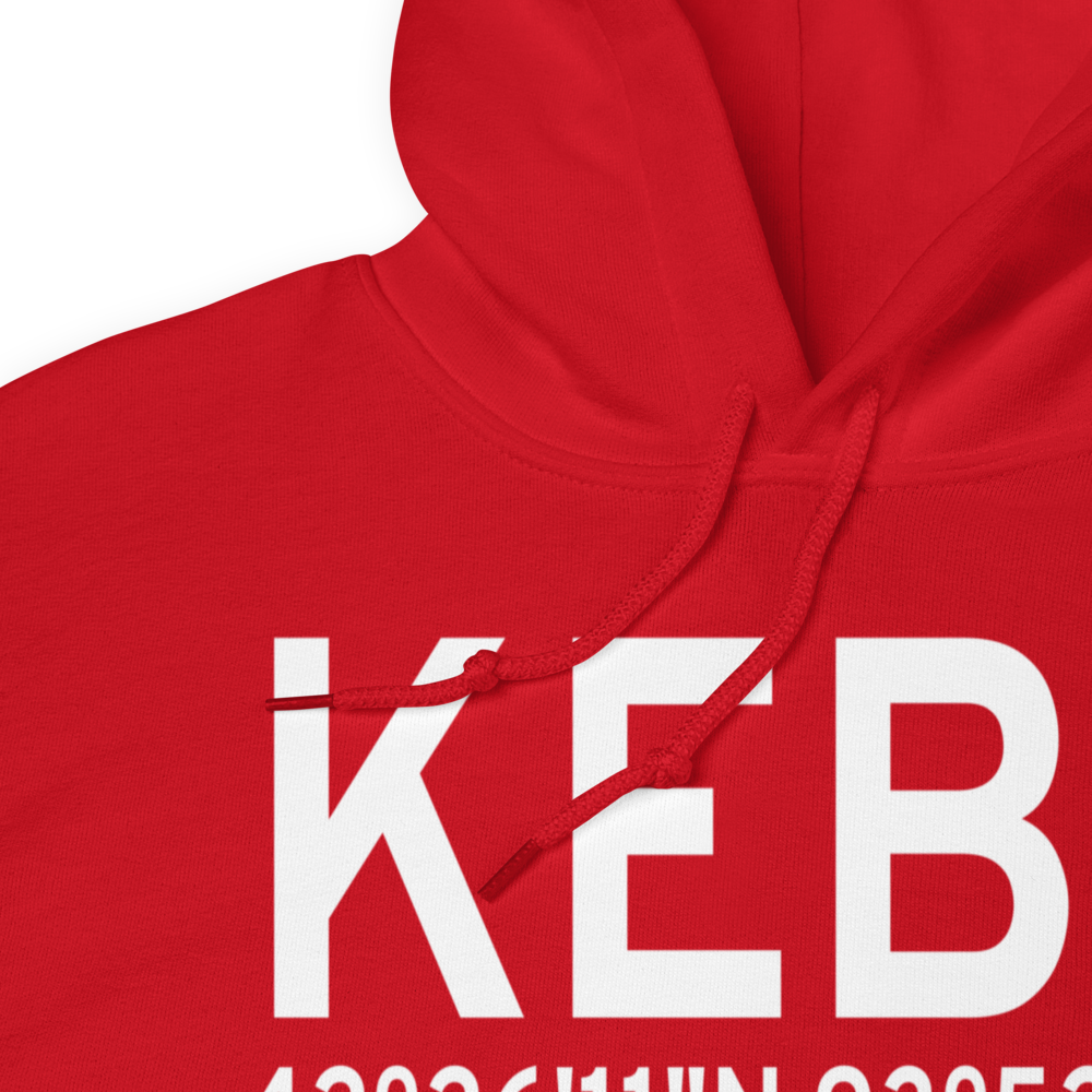 Webster City Municipal Airport (KEBS) ICAO Hoodie Sweatshirt 