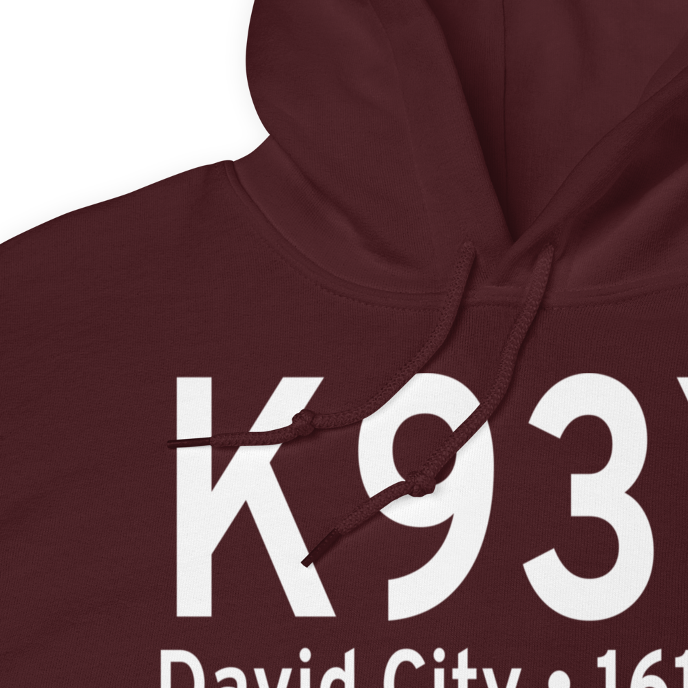 David City Municipal Airport (K93Y) ICAO Hoodie Sweatshirt 