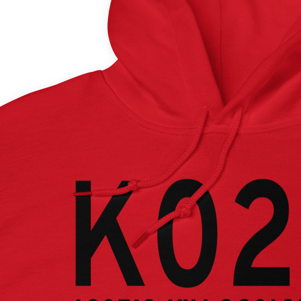 Capitol Airport (K02C) ICAO Hoodie Sweatshirt 