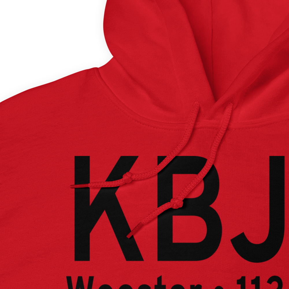 Wayne County Airport (KBJJ) ICAO Hoodie Sweatshirt 