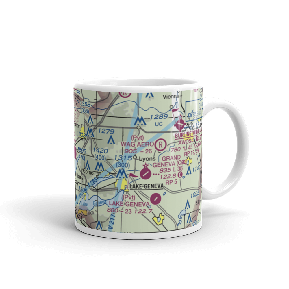 Lake Lawn Airport (C59) VFR Sectional  Mug 