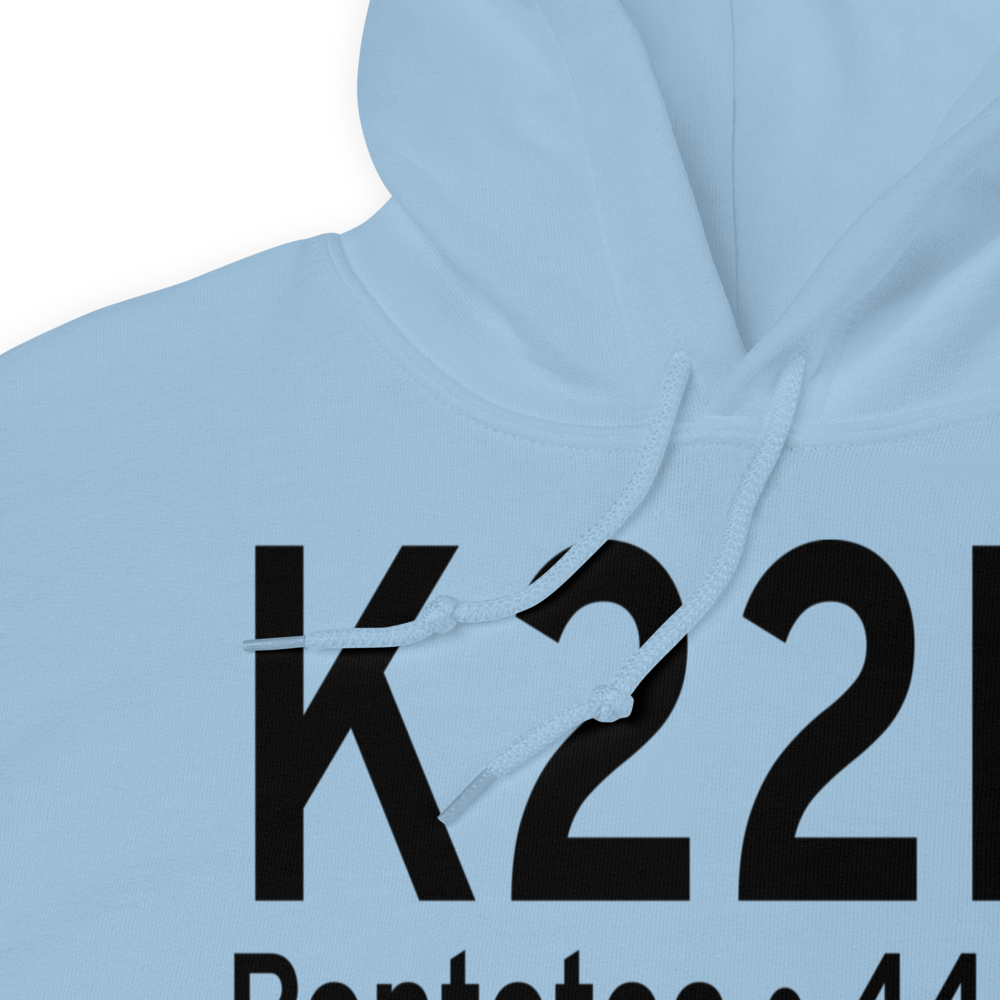 Pontotoc County Airport (K22M) ICAO Hoodie Sweatshirt 