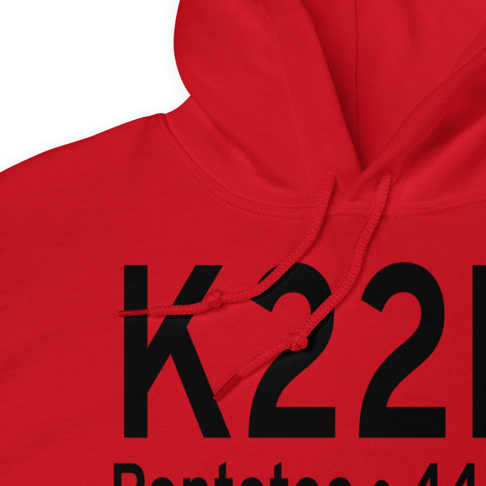 Pontotoc County Airport (K22M) ICAO Hoodie Sweatshirt 