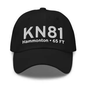 Hammonton Municipal Airport (KN81) ICAO Hat