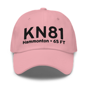 Hammonton Municipal Airport (KN81) ICAO Hat