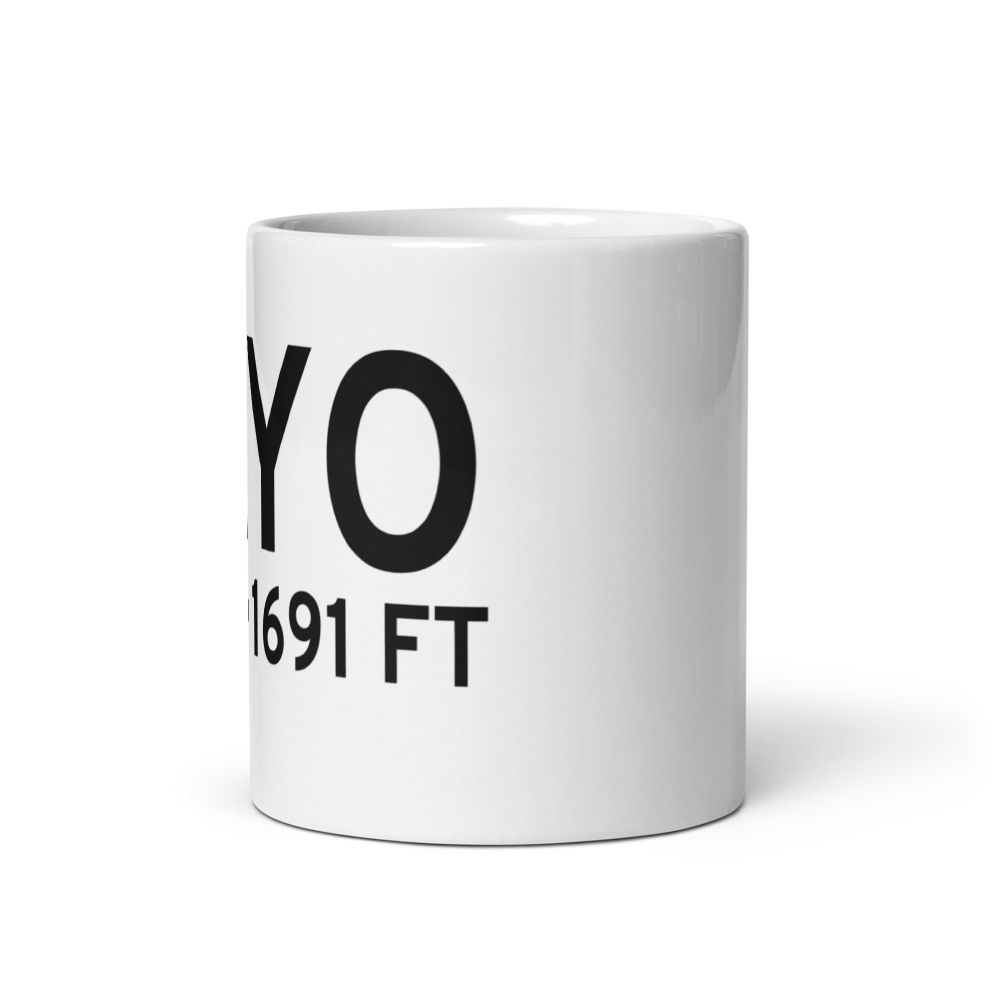 Lyons-Rice County Municipal Airport (KLYO) ICAO Mug 