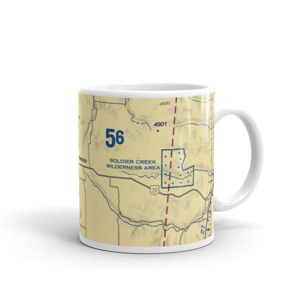 Harrison Skyranch Airport (9V3) VFR Sectional  Mug 
