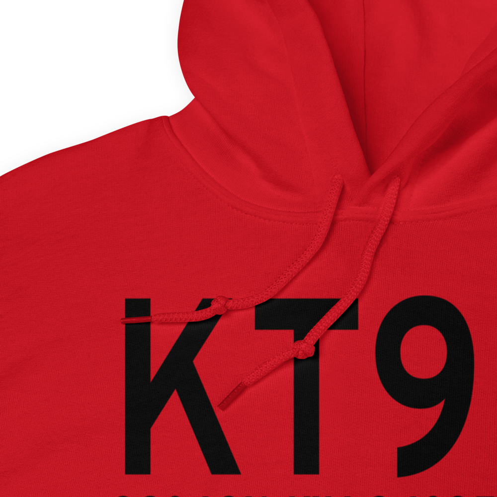 Chambers County Winnie Stowell Airport (KT90) ICAO Hoodie Sweatshirt 