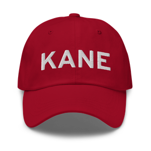 Anoka County-Blaine (Janes Field) Airport (KANE) ICAO Hat