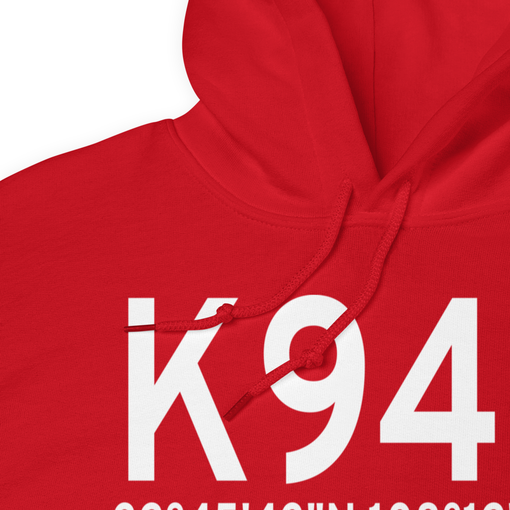 Whiskey Creek Airport (K94E) ICAO Hoodie Sweatshirt 
