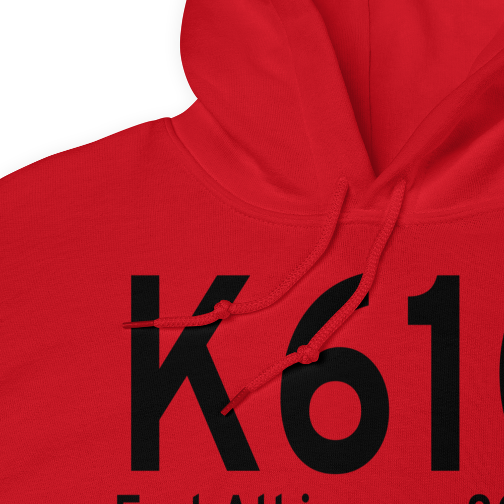 Fort Atkinson Municipal Airport (K61C) ICAO Hoodie Sweatshirt 