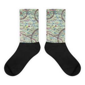 Paris Municipal Airport (7M6) VFR Sectional Socks