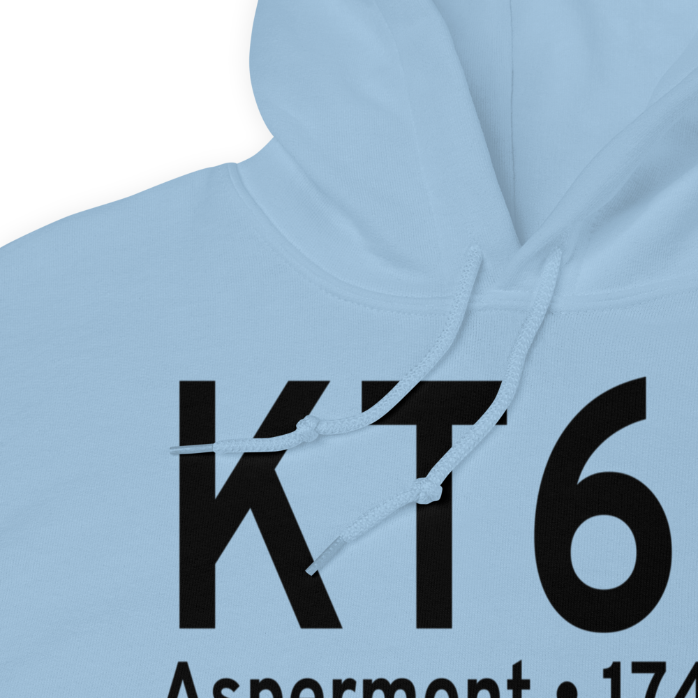 Stonewall County Airport (KT60) ICAO Hoodie Sweatshirt 